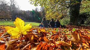 Kleine Ferien, große Erlebnisse: So wird der Herbst 2025 unvergesslich. Spaziergänger sitzen im Herbstlaub in der Sonne.
