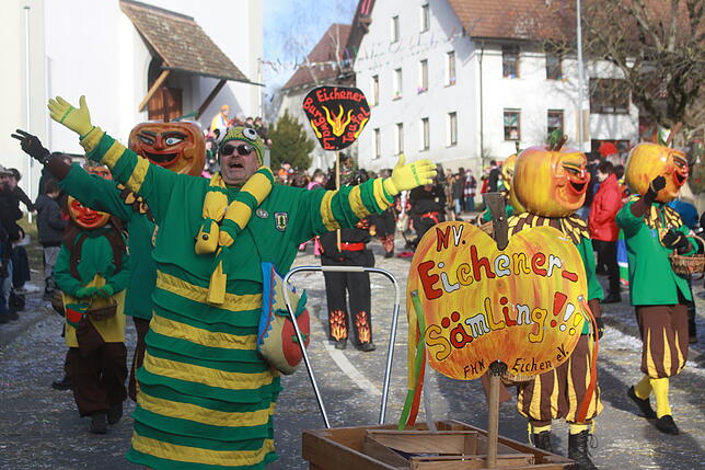 Bild 8: Bilder vom Narrentreffen zum 40. Jubiläum der Kuhsattler aus Hohenfels