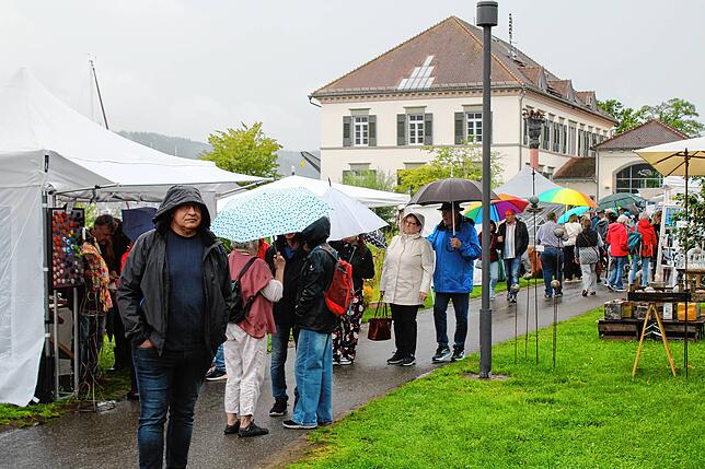 Bild 6: Nasser Start für die Sommeraugenweide