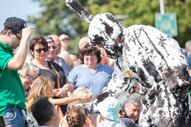 Das Seehasenfest 2020 findet von 16. bis 20. Juli statt. (Archivbild)