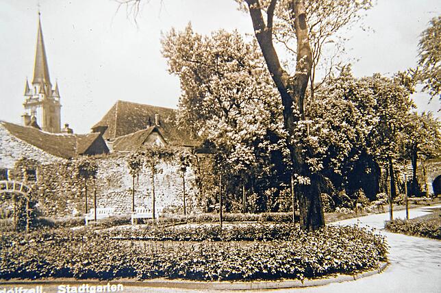 Der Rosengarten im Stadtgarten im Jahr 1924.