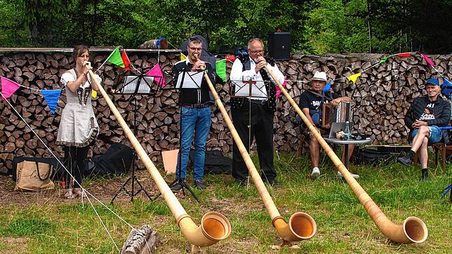 Fast 50 Musiker auf sieben Bühnen wirkten beim Klingenden Wald auf dem Dachsberg mit, die Alphornis begrüßten die ankommenden Besucher. ...