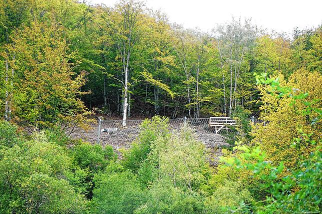 Ein Großteil des Schutzzaunes ist errichtet. Für die Arbeiter wurden Emporen aus Holz gebaut.