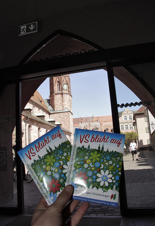 Bild 12: Der SÜDKURIER testet die neue VS-Blumenmischung