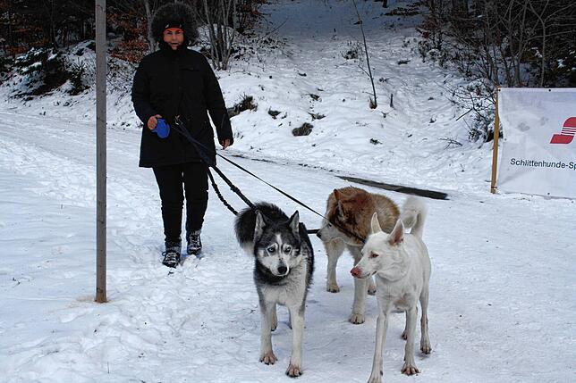 Bild 23: Bilder vom Wintererlebniswochenende in Todtmoos