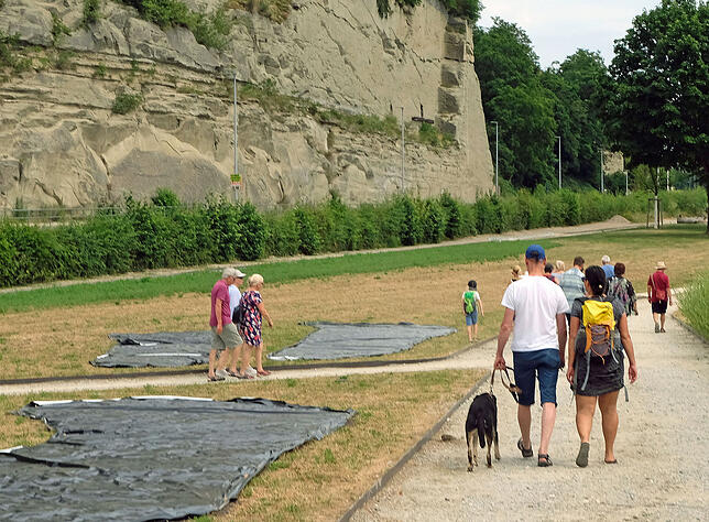 Es gibt auch noch zahlreiche „schwarze Löcher“ auf dem Gelände. Sie sind reserviert für eine Bepflanzung mit blühendem ...