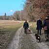 Mitarbeiter der Forstverwaltung bei einem Kontrollgang im Klimawald im mecklenburg-vorpommerschen Müritz.