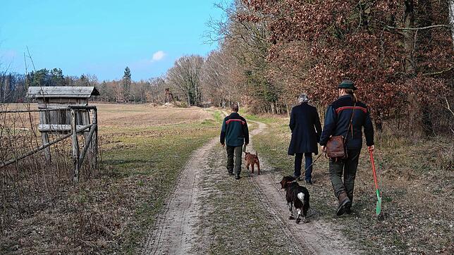Mitarbeiter der Forstverwaltung bei einem Kontrollgang im Klimawald im mecklenburg-vorpommerschen Müritz.