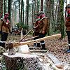 Bild :