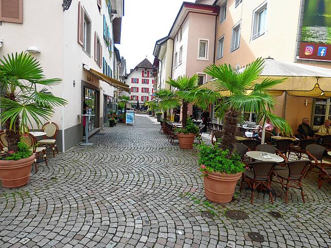 Auch mobile Grünelemente können der Innenstadt von Bad Säckingen einen besonderen Flair verleihen – so die Projektgruppe Innenstadt.