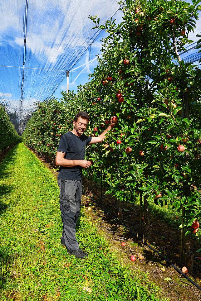 Obstbauer Bruno Preis aus Kadelburg kennt die Probleme, die mit einer späten Apfelblüte zusammenhängen.