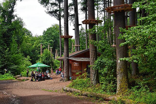 Abgestockte Fichten und neu angelegte Kletterpfade prägen den ersten Eindruck vom Kletterwald Hochempor am Bergsee in Bad Säckingen.