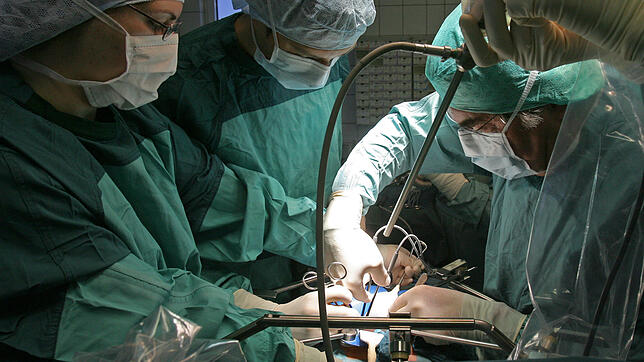 Symbolbild: Bei einer Operation wird einem Organspender eine Niere entnommen. In der Schweiz hat sich die Mehrheit der Stimmbürger für ...