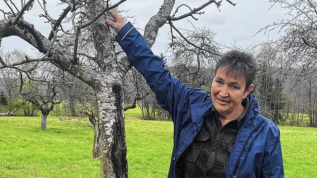 Michaela Berthold-Sieber zeigt am Beispiel des Baumes, bis wohin idealerweise eine schützende Weißung des Stamms angebracht werden ...