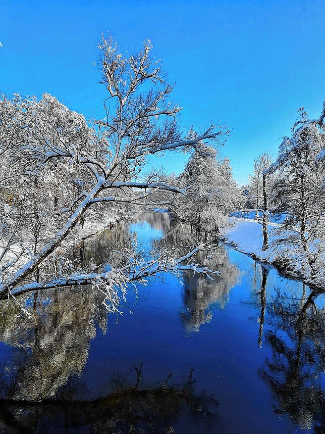 Eine Szene wie gemalt: Der makellos blaue Himmel spiegelt sich in der Breg &ndash; und ebenso das weiß verzierte Geäst.