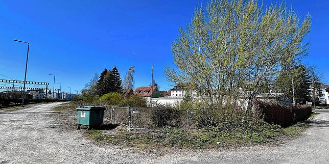 Auf diesem Areal zwischen Bahngelände und Löwentaler Straße ist eine sogenannte Entwicklungsfläche, auf der die Stadt Friedrichshafen ...
