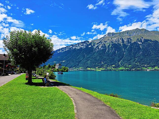 Abseits des Stegs, nur fünf Minuten Fußweg vom Ufer entfernt, kann man die Ruhe am Brienzersee genießen.