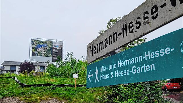 Am Hermann Hesse Weg in Gaienhofen soll ein Wohnblock mit zehn Familienwohnungen entstehen. Das Bauvorhaben ist stark umstritten, da ...
