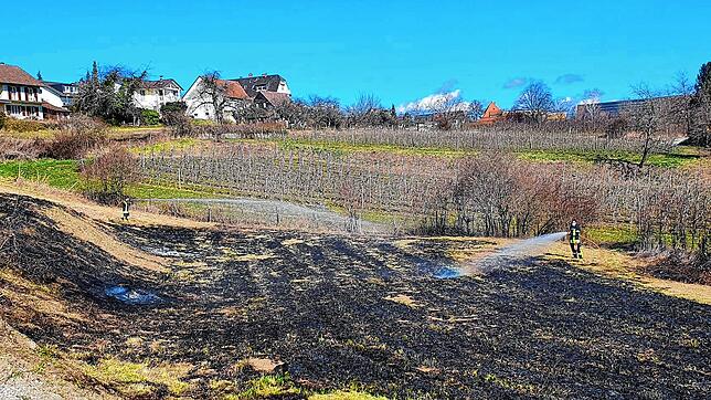 Bild : 28 Einsatzkräfte löschen Flächenbrand