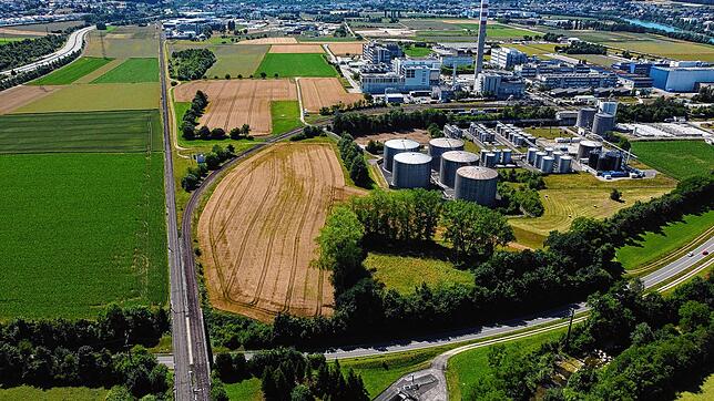 Die „Südspange“ soll vom Anschlussknoten in südwestlicher Richtung entlang der bestehenden Bauten der Firma DSM-Firmenich verlaufen.