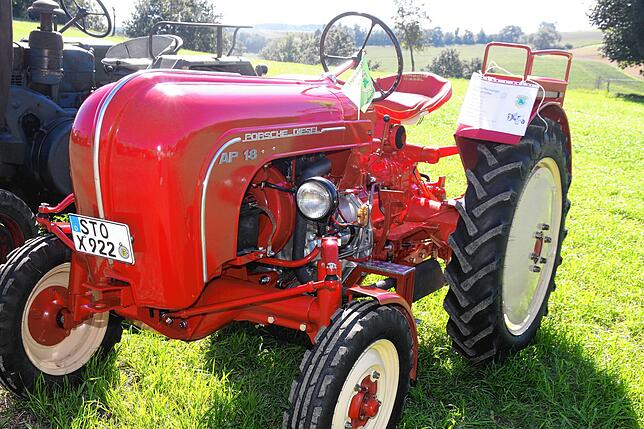Bild 14: Voller Erfolg: Das 10. Schafstallfest der Hobixer Narrenzunft und der Familie Möll in Mainwangen