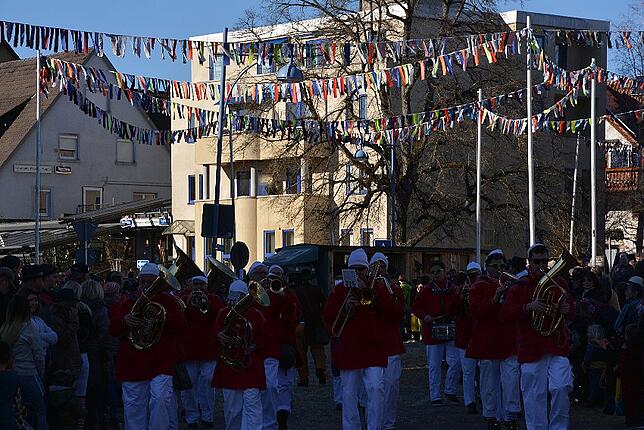 Bild 50: Bilder vom Narrentreffen der Urviecher-Zunft Bad Dürrheim: Großer Festumzug (3)