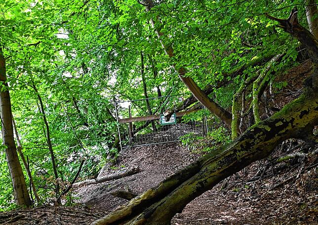 Bild 28: Wie läuft es sich von der Marienschlucht zum Burghof? Bilder einer Wanderung