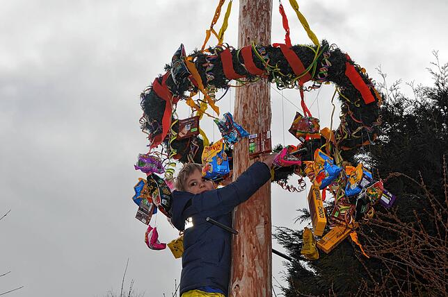 Bild 1: Die spektakulärsten Bilder vom Umzug und Narrenbaumsetzen in Bitzenhofen