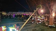 Mit vereinten Kräften wird der Narrenbaum in Rippolingen gestellt.