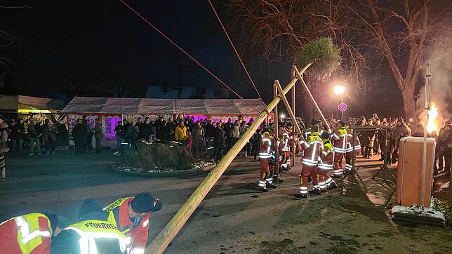 Mit vereinten Kräften wird der Narrenbaum in Rippolingen gestellt.