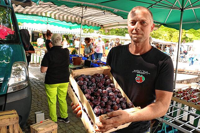 Am Obststand von Daniel Fröhlich gibt es schon die ersten Pflaumen zu kaufen: drei Wochen früher als in der Vergangenheit.