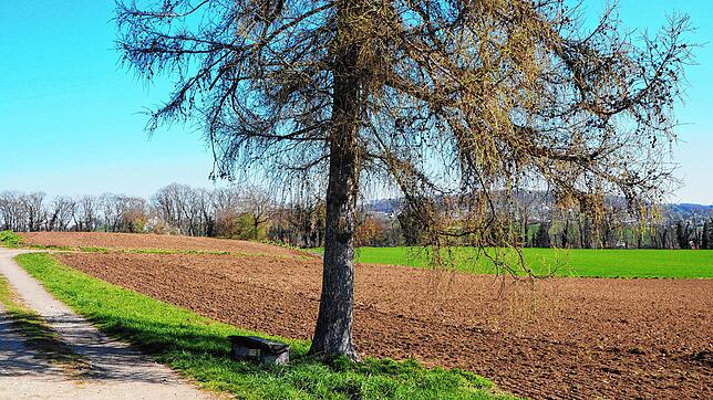 Das Grundstück hinter der Lärche im Altenburger Feld war vor kurzer Zeit noch eine grüne Wiese. In der vergangenen Woche hat ein ...