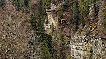 Die Wutachschlucht ist eine der größten Sehenswürdigkeiten in der Region. Sie lockt jedes Jahr zahlreiche Urlauber nach Bonndorf. Bild: ...