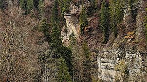 Die Wutachschlucht ist eine der größten Sehenswürdigkeiten in der Region. Sie lockt jedes Jahr zahlreiche Urlauber nach Bonndorf. Bild: ...