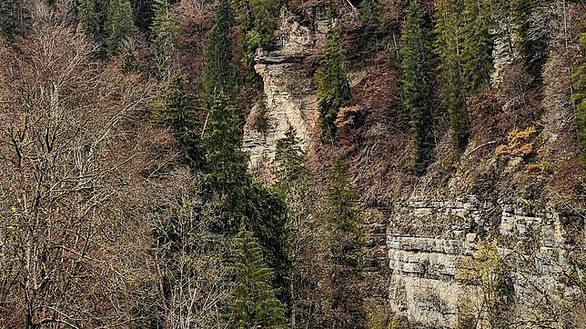 Die Wutachschlucht ist eine der größten Sehenswürdigkeiten in der Region. Sie lockt jedes Jahr zahlreiche Urlauber nach Bonndorf. Bild: ...