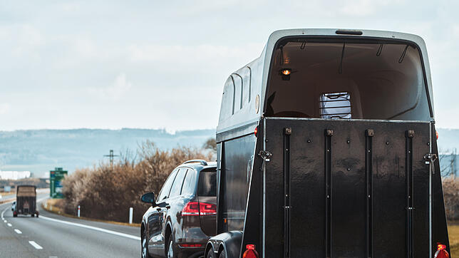 Pferdetransporte wären schwierig ohne Anhänger. Aber nicht alle Anhänger darf man mit jeder Führerscheinklasse ziehen.