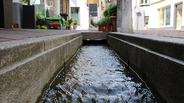 Der Stadtbach in Tiengen trotzte der langanhaltenden Hitze der vergangenen Wochen und floss mit viel Wasser durch die Innenstadt, wie ...