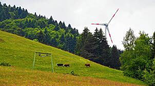 Ein Windrad bei Fröhnd. In Herrischried sollen weitere Anlagen errichtet werden. Der Bürgermeister sollte sich dazu äußern, wie die ...