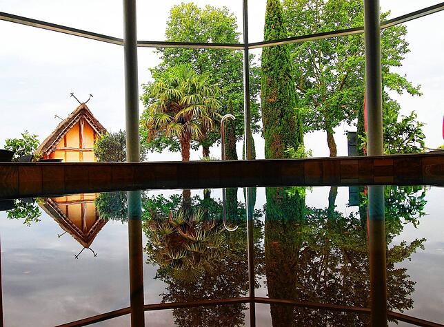 Der Blick aus dem Wasserbecken im Saunabereich der Meersburg Therme auf den Saunagarten.