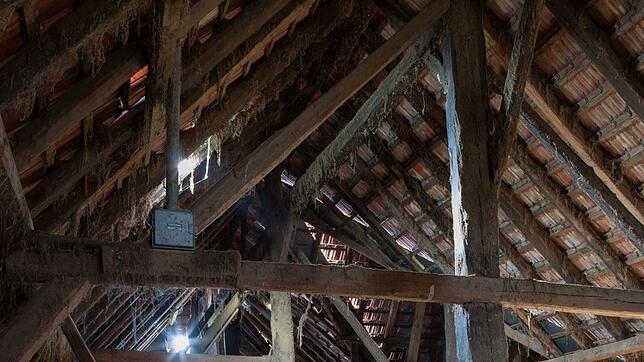 Ein Stahlgerüst soll das historische Gebälk des Zechenwihler Hotzenhauses tragen. Das neue Konzept verteuert die Sanierung.