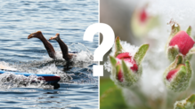 Kommt an den Eisheiligen noch mal Frost oder sommerliches Wetter?