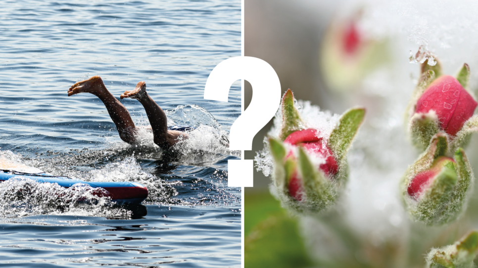 Kommt an den Eisheiligen noch mal Frost oder sommerliches Wetter?