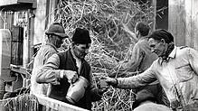 Jakob Tuggener, Dreschmaschine im Tösstal, 1950er-Jahre.