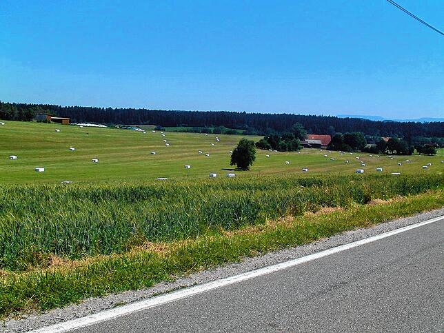 Landwirte sorgen nicht nur für ausreichend Nahrungsmittel, sondern auch für eine entsprechende Kulturlandschaft wie hier bei Niedereschach.