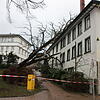Ein Baum ist seitlich auf das Gasthaus Krone gefallen und hat das Dach und ein Fenster beschädigt. Bilder: Patrick Ganter