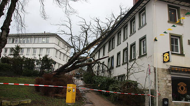 Ein Baum ist seitlich auf das Gasthaus Krone gefallen und hat das Dach und ein Fenster beschädigt.