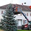 Der Baum steht, nun wird die Beleuchtung angebracht. Auf der Hebebühne Peter und Tobias Jäckle, im Fahrzeug Artur Jäckle.