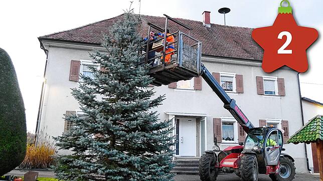 Der Baum steht, nun wird die Beleuchtung angebracht. Auf der Hebebühne Peter und Tobias Jäckle, im Fahrzeug Artur Jäckle.