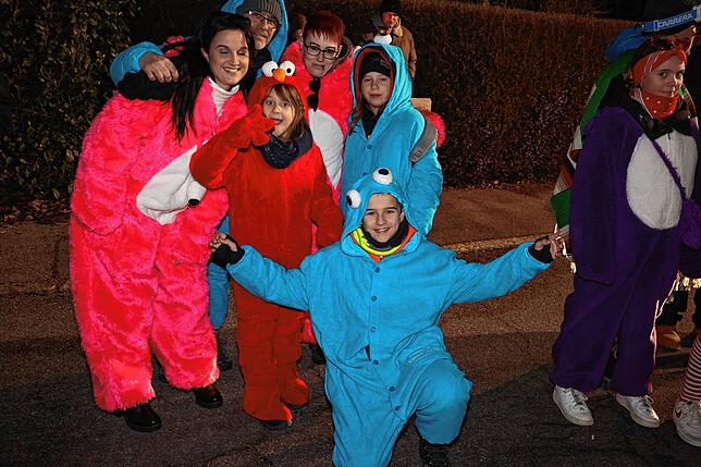 Bild 8: 21. Nachtumzug der Wolfbach-Rolli: Fasnet beginnt mit Vollgas