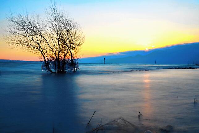 Der Frost und der Ostwind sorgten für bizzare Eisskulpturen am Bodenseeufer – hier zwischen Hörnle und Wasserwerk.